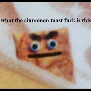 Meet your Posher, Annamal